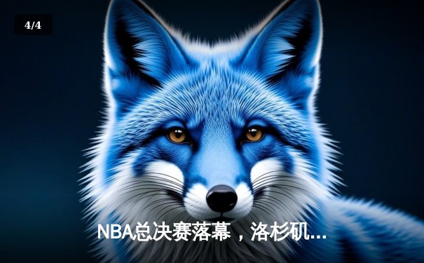 NBA总决赛落幕，洛杉矶湖人队逆转夺冠，詹姆斯荣膺FMVP - 4