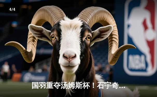 国羽重夺汤姆斯杯！石宇奇李诗沣建功 中国队3-1逆转印尼队第11次登顶 - 4